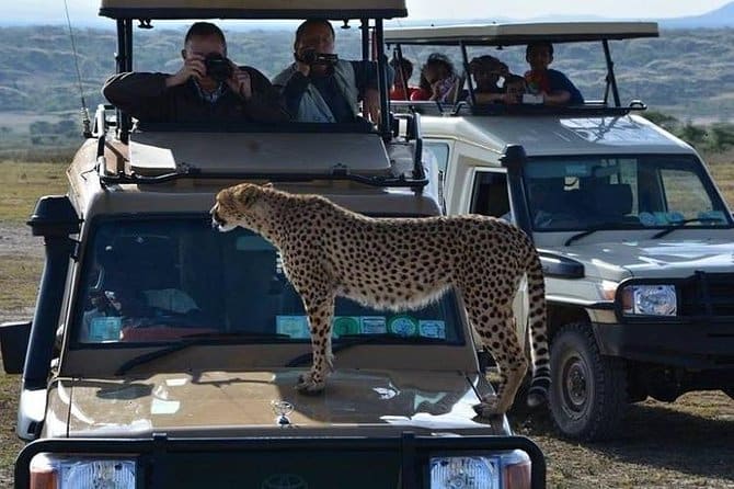 9-Day Safari & Zanzibar