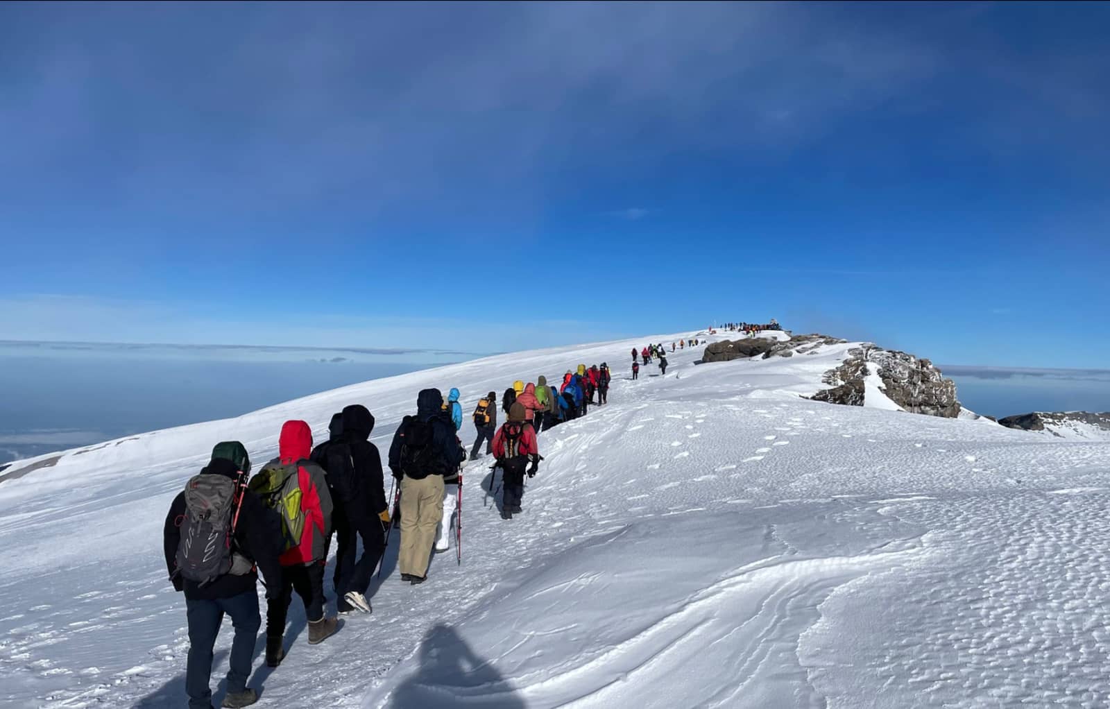 7 Days Kilimanjaro Lemosho Route
