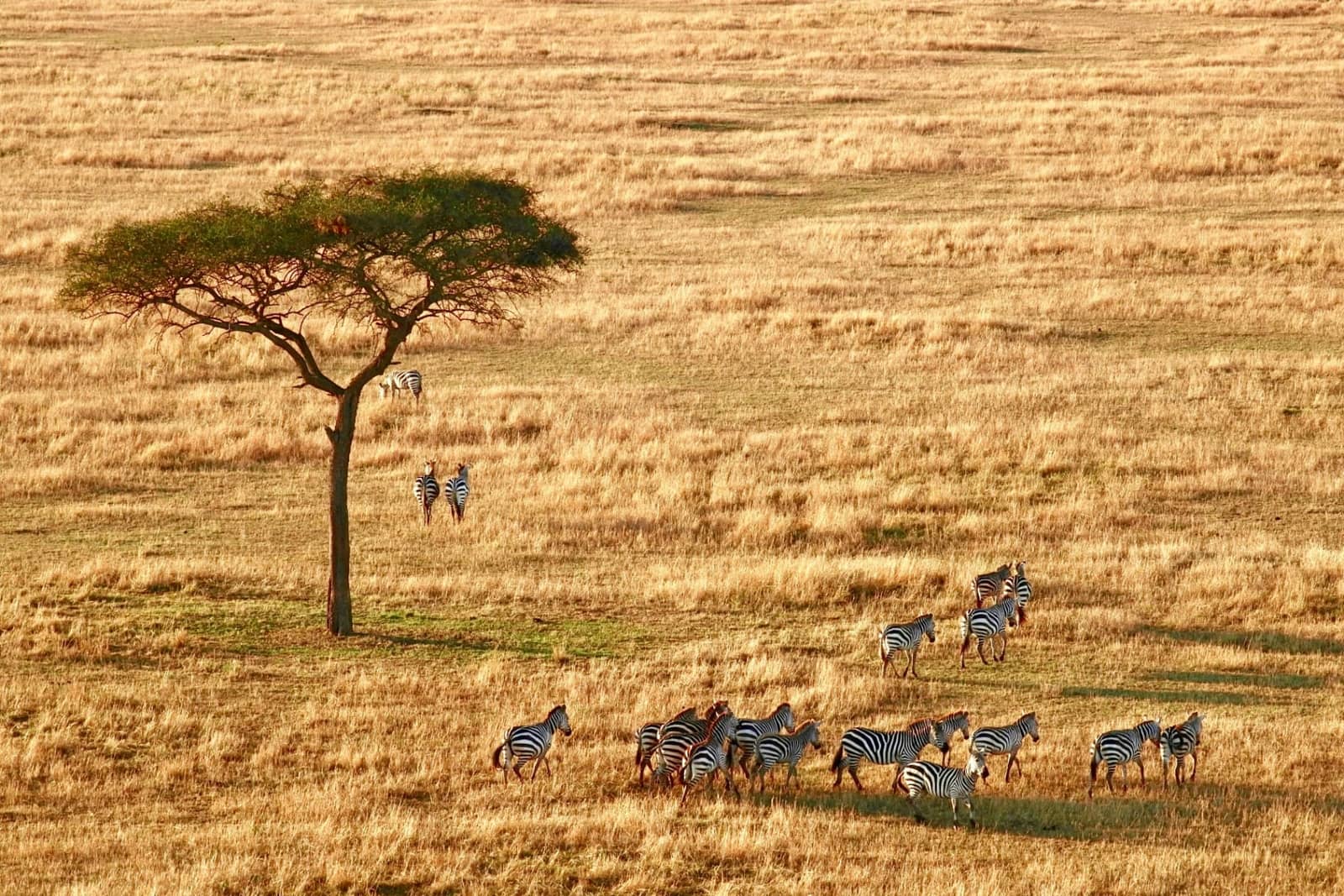 3-Day Tanzania Safari