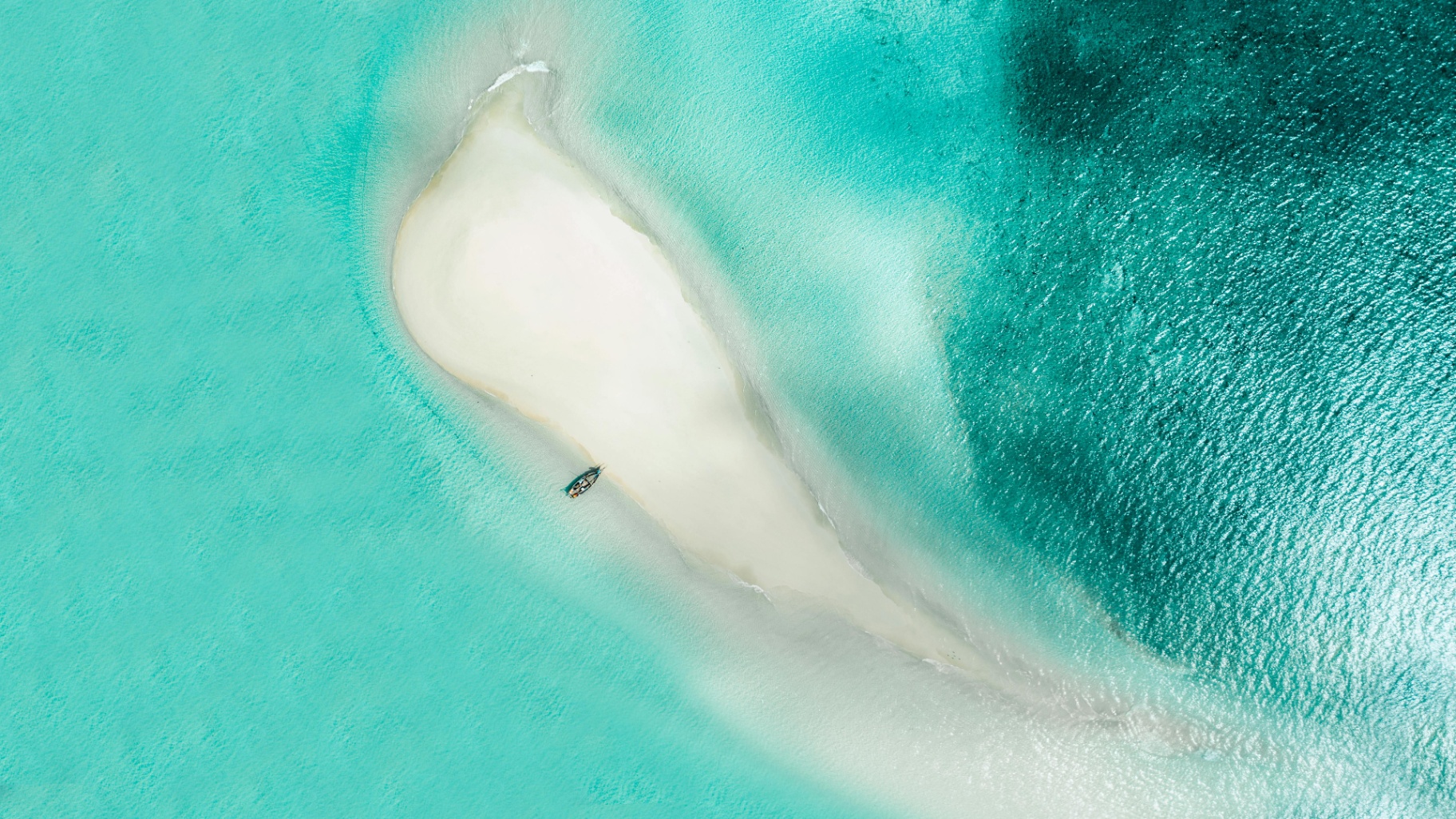 Pearl of the Indian Ocean: 7 Days Zanzibar Discovery